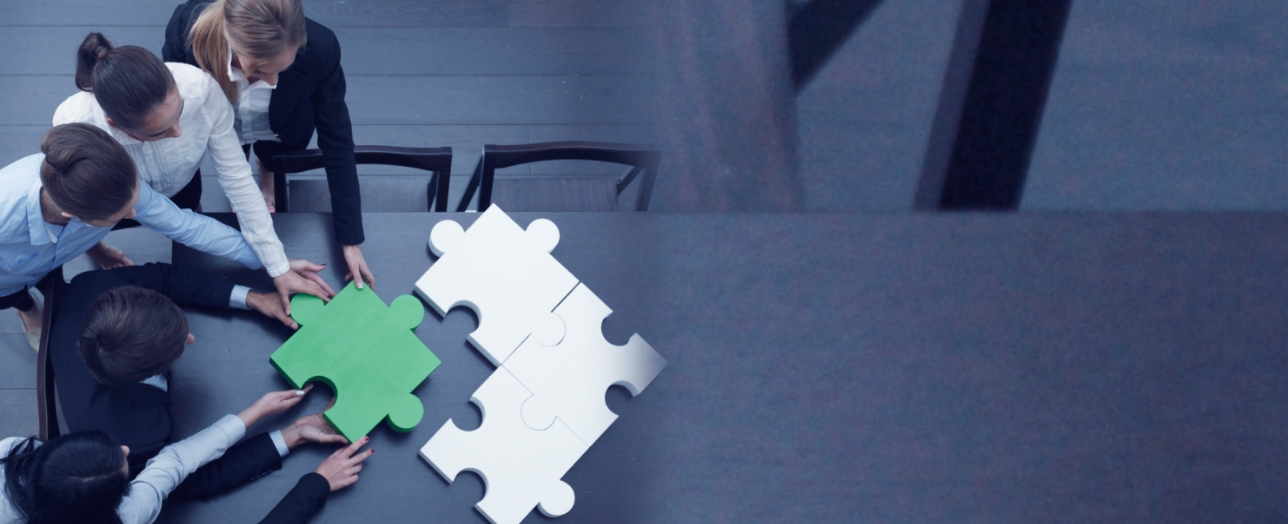 Hitachi Solutions India Pvt. Ltd.